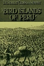 Poster for Bird Islands of Peru 