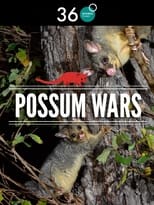 Poster for Possum Wars