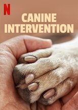 Poster for Canine Intervention