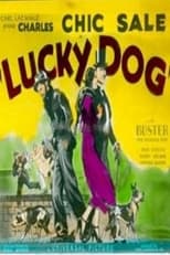 Poster for Lucky Dog 