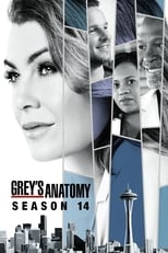 Poster for Grey's Anatomy Season 14