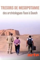 Poster for Trésors de Mésopotamie: des archéologues face à Daech 