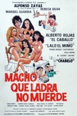Poster for Macho que ladra no muerde