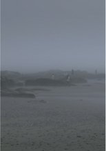 The Fog Has Covered The Moment Again poster