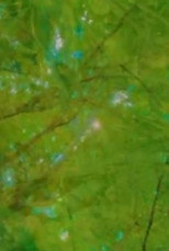 Epistemology: Floating Images and the Search for a Greater Enallage poster