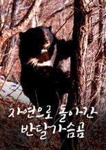 자연으로 돌아간 반달가슴곰 (2002) poster