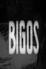 Poster for Bigos 