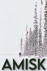 Carátula Amisk