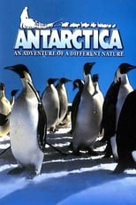 Poster for Antarctica: An Adventure of a Different Nature