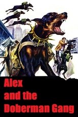 Poster for Alex and the Doberman Gang