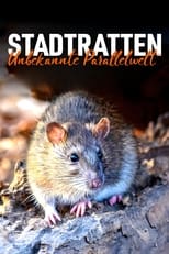 Poster for Stadtratten - Unbekannte Parallelwelt 