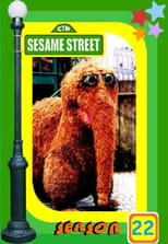 Poster for Sesame Street Season 22