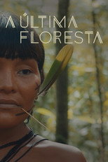L'ultima foresta