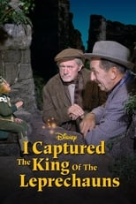 Poster for I Captured the King of the Leprechauns 