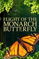 Poster for Flight of the Monarch Butterfly 