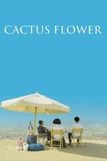 Cactus Flower main poster