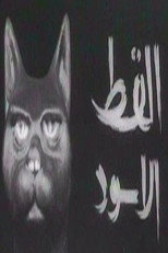 القط الأسود poster