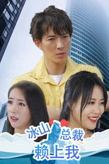 冰山总裁赖上我 poster