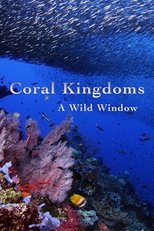 Poster for A Wild Window: Coral Kingdoms 