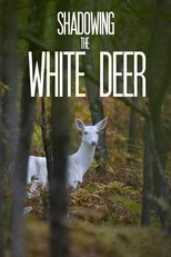 Shadowing The White Deer