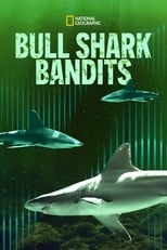 Poster for Bull Shark Bandits 