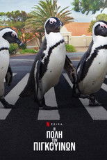 Η Πόλη των Πιγκουίνων