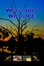 Poster for Wetlands Wildlife