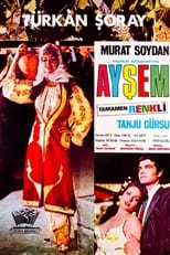 Poster for Ayşem