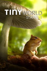 Poster zu Staffel 1 – Tiny World