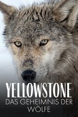 Poster for Yellowstone: The Mystery of the Wolves