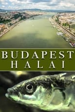 Poster for The Fish of Budapest 