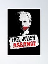 Poster for Julian Assange: Chronik einer Spionageaffäre 