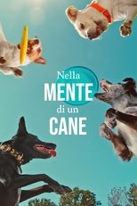 Nella mente di un cane