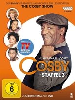 Poster for Cosby Season 3