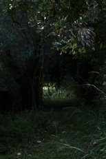 Dove Non Siamo Stati (2011)