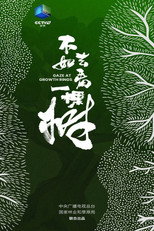 不如去看一棵树 poster