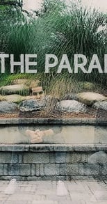 Poster for The Paradox