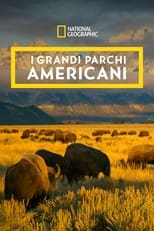 Poster di I grandi parchi americani