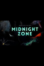 Into the Midnight Zone