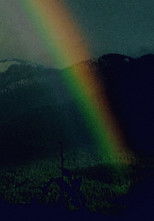 Running Shadow Part II Running Shadow Part II