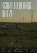 Schmetterlingskatze
