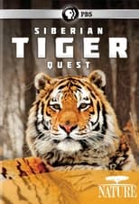 Poster for Siberian Tiger Quest