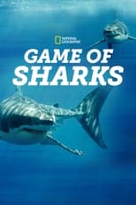 game-of-sharks