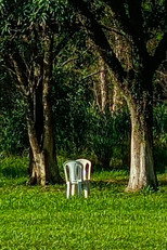 Cinema em Perspectiva