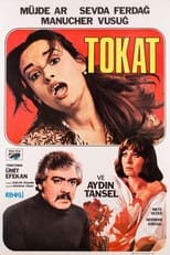 Poster for Tokat