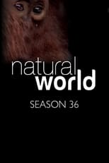 Poster for Natural World Season 36