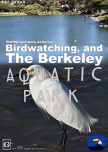 The Berkeley Aquatic Park poster