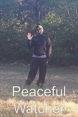 Peaceful Watcher poster