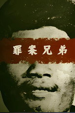 Brothers in Arms poster