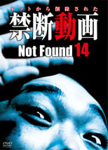 Poster for Not Found 14